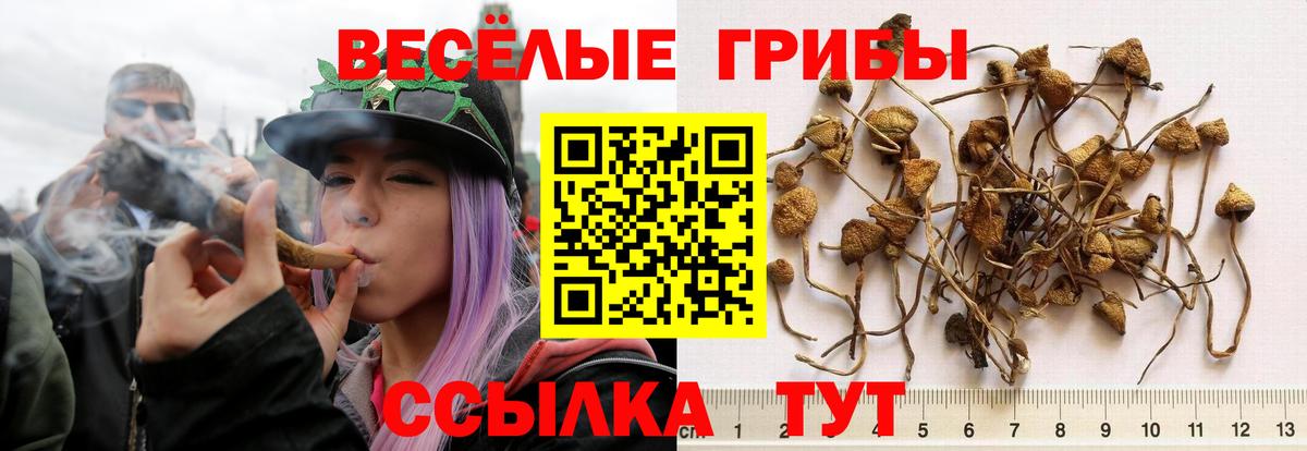 Псилоцибиновые грибы мицелий  Галлюциногенные грибы Psilocybine cubensis  Костомукша  Вход с VPN 